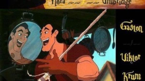 parcul disneyland l a paralizat de la gat in jos