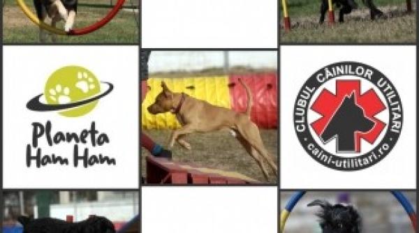 primul concurs de caini utilitari organizat in bucuresti vezi cand va avea loc
