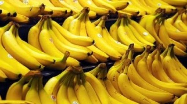 cele mai bizare directive ale uniunii europene