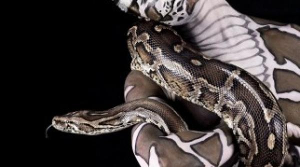 imagini fascinante animalul din tine