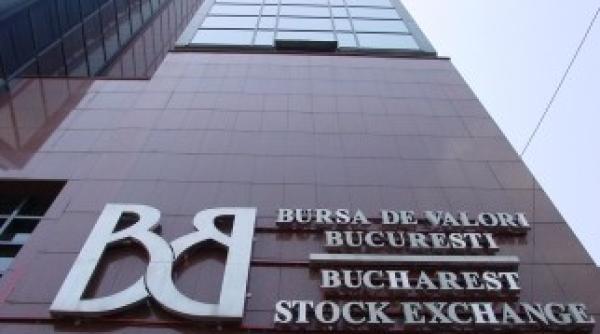 bvb are un nou consiliu de administratie