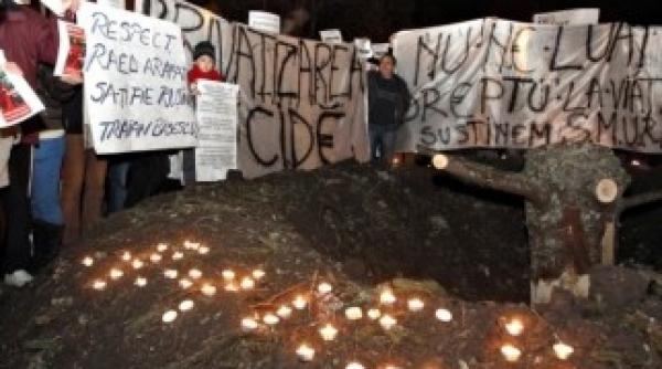 facebook ul folosit pentru mobilizarea sustinatorilor lui arafat