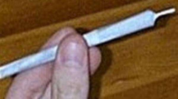 beizadeaua sefului de la avas a fost condamnat la 3 ani si 6 luni de inchisoare