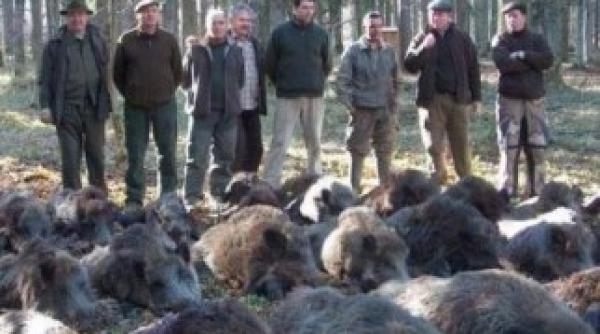 bilantul vanatorii de la balc 254 de mistreti ucisi nu se stie inca cine se va infrupta din ei