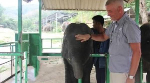 iantu prietenul elefantilor