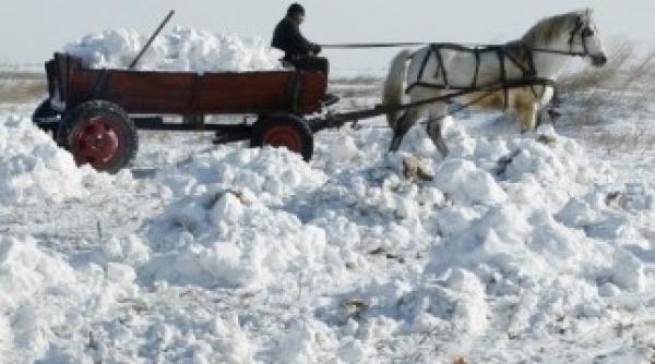 cum se face deszapezirea la sat