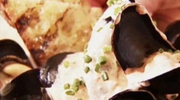 scoici in vin cu aioli o aventura culinara cu philips