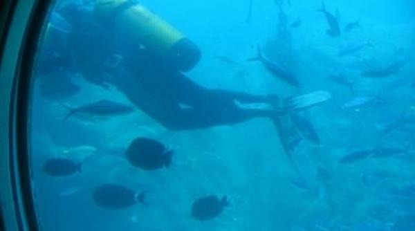 drama in marea rosie trei turisti au murit intr un accident de submarin