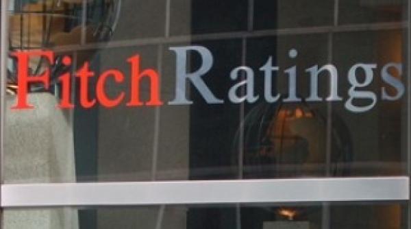 fitch cumpararea de voturi de catre pdl ar eroda credibilitatea partidului