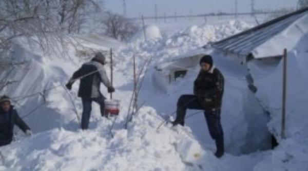 marian oprisan a cerut instituirea starii de alerta in vrancea