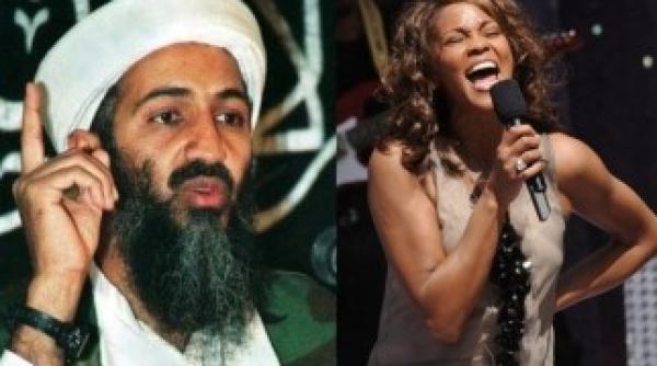 osama bin laden ar fi vrut sa se casatoreasca cu whitney houston