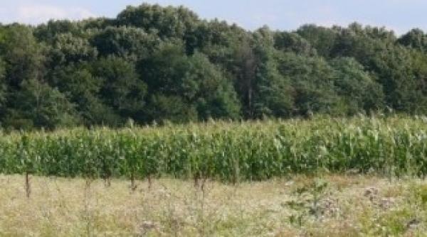 emisia antenei 1 a fost intrerupta ce mesaj a fost afisat