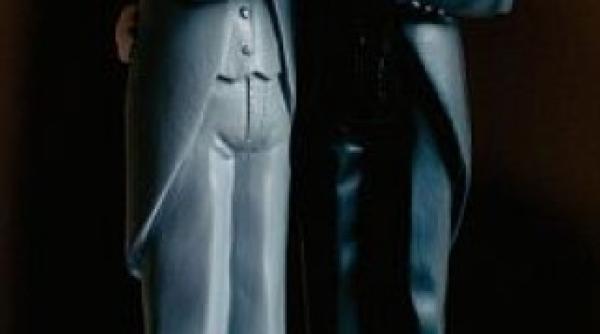 homosexualii vor sa fie numiti participanti la casatorie nu sot si sotie