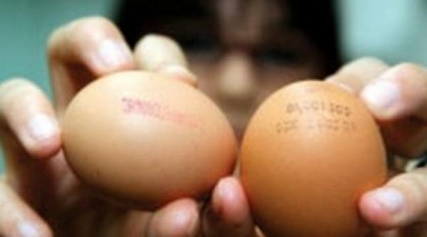 criza de oua in romania vezi de ce