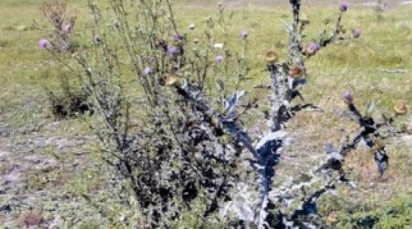 fuia taxarea terenurilor nelucrate va aduce un milion de hectare in cultura