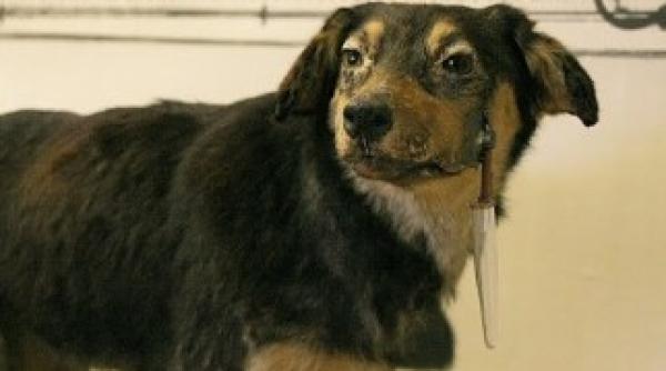 istoria la zi ce s a intamplat pe 27 februarie