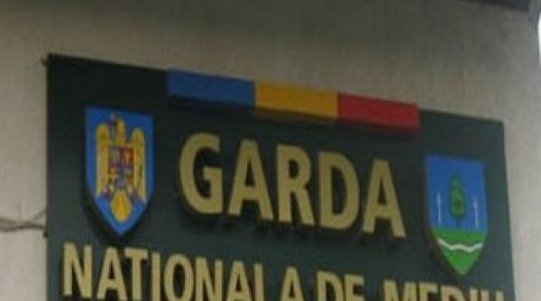 achizitii la garda de mediu deodorante auto eco creioane pixuri si dvd uri