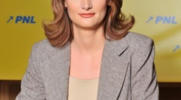 ramona manescu a lansat platforma de consultare online privind viitorul politicii de coeziune