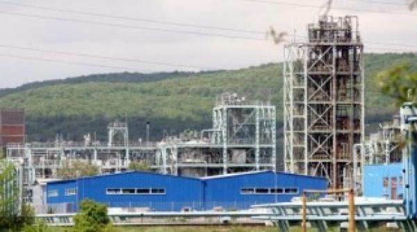 privatizarea oltchim dificila licitatia pe 31 mai