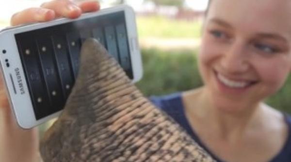 vezi aici elefantul care foloseste un smartphone video