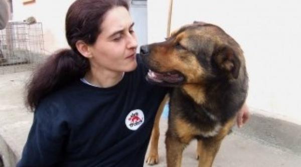 de ziua animalelor fara stapan vier pfoten invita la compasiune initiativa si actiune