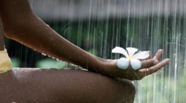 emotii care ne pot vindeca regasirea centrului meditatie si echilibru 2