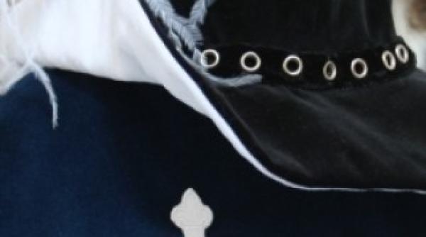 afla cine este cel de al patrulea muschetar al usl