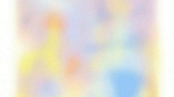 imaginea care dispare in timp ce te uiti la ea