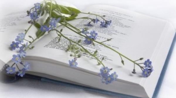 emotii care ne pot vindeca regasirea centrului meditatie si echilibru 5