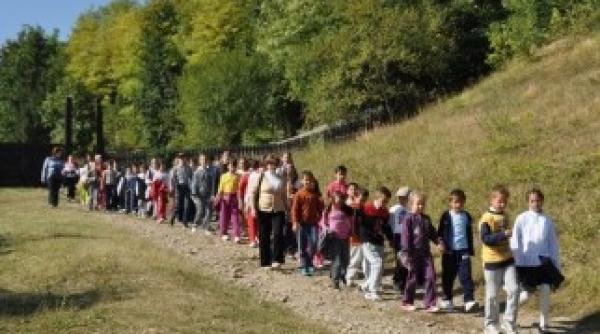 afla care sunt beneficiile mersului pe jos