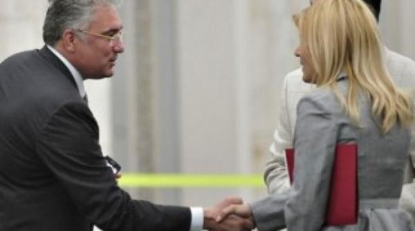 udrea arena nationala ar trebui sa se numeasca adriean videanu