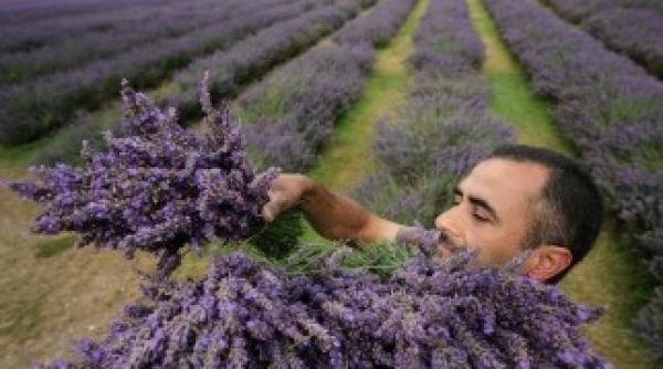 imigrantii care muncesc in marea britanie victime ale rasismului intimidarilor si amenintarilor