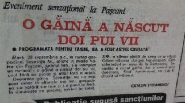 gaina care naste pui vii a ajuns la cotroceni