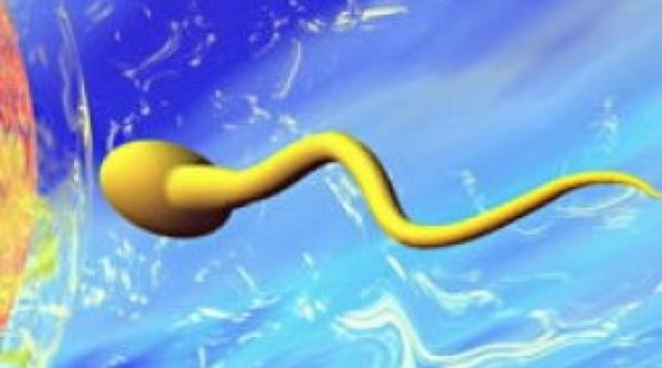 un nou contraceptiv masculin sub forma de gel usor de folosit