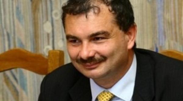 mircea miclea judecatorul lui ponta acuzat el insusi de plagiat