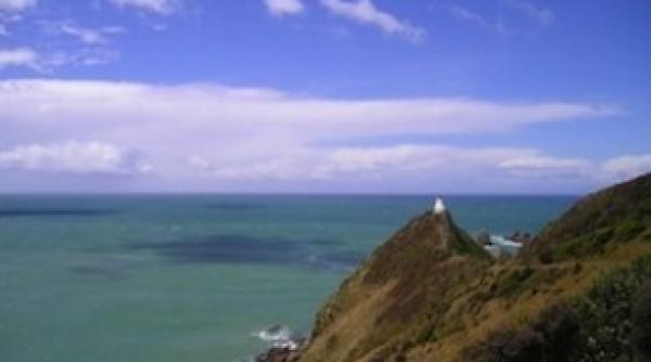 cutremur in largul coastelor noii zeelande