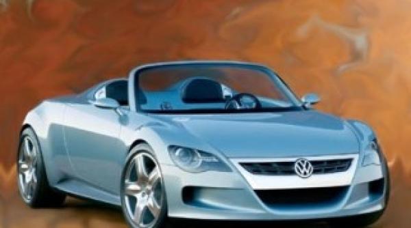 volkswagen devine actionar unic al porsche