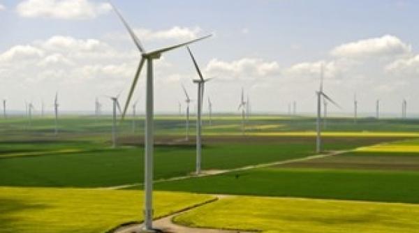 resursele de energie primara au scazut