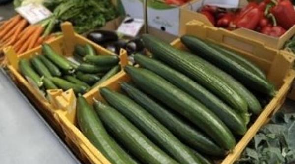 premiera in romania castravetele care amelioreaza crizele de diabet