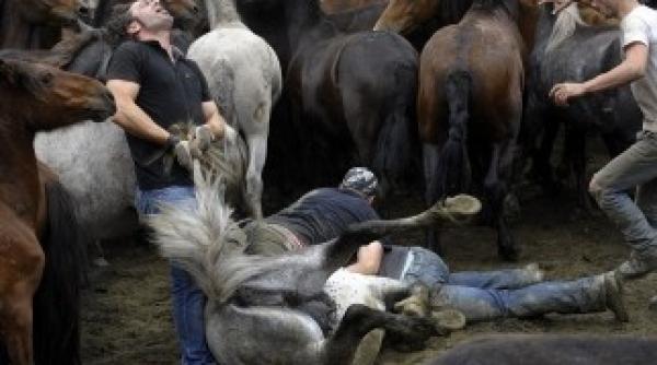 oameni vs cai salbatici tema unui festival din spania galerie foto