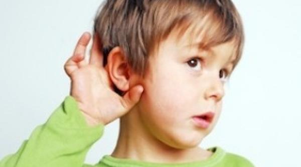 unde poti sa l asculti pe mozart prin oase