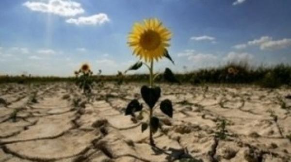 seceta la romani afla care a fost cel mai uscat an cum se produce desertificarea ce ne asteapta
