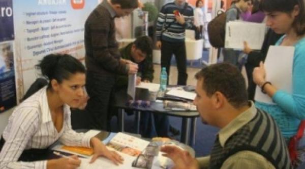 oferte de angajare peste 8700 locuri de munca disponibile