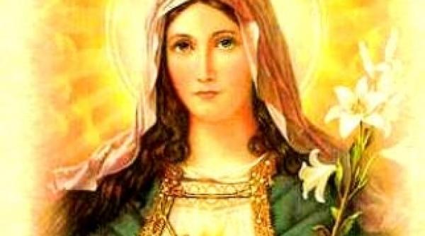 zi libera de sfanta maria