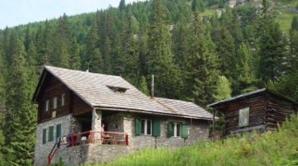 tabara pentru copii supraponderali la straja hunedoara