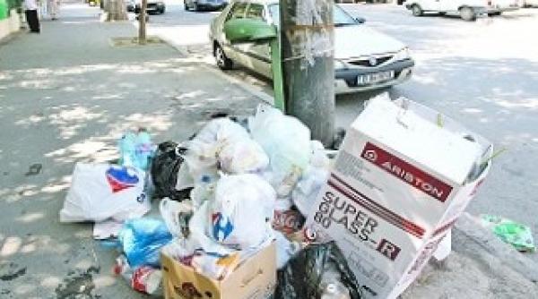 primarul se schimba profitorii raman