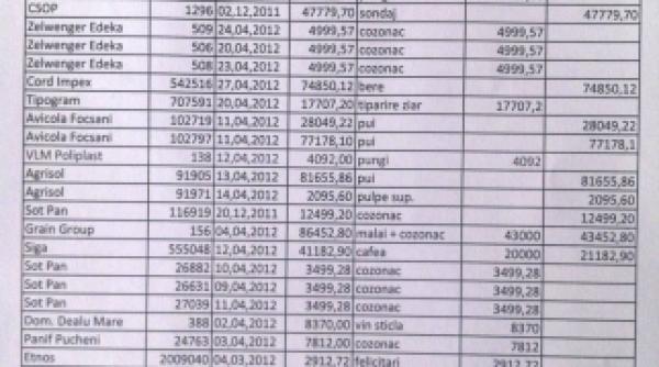 pdl prahova un fel de magazin alimentar pe ce s au dus banii de campanie