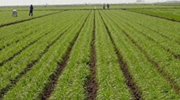 penalizare de 38 milioane de euro de la comisia europeana pentru romania