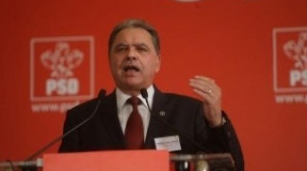 nicolescu sustine ca motivul anchetei este scorul slab la referendum