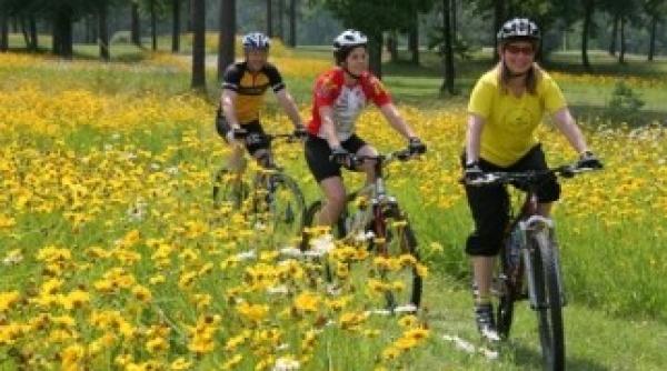 o forma fizica buna este mai importanta pentru longevitate decat greutatea corporala